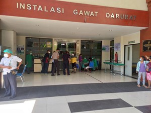 Heboh, Bocah di Buleleng Meninggal Setelah Digigit Anjing Temannya
