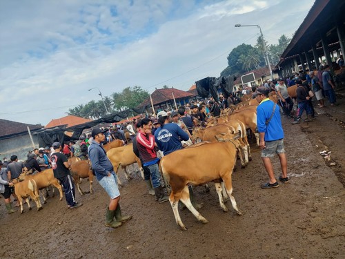 Suasana Pasar Hewan Beringkit di Jalan Kebo Iwa Mengwitani Banjar, Mengwitani, Kecamatan Mengwi, Kabupaten Badung