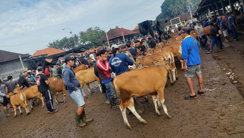 Suasana Pasar Hewan Beringkit di Jalan Kebo Iwa Mengwitani Banjar, Mengwitani, Kecamatan Mengwi, Kabupaten Badung
