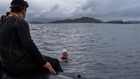 Hernandez memecahkan rekor dunia dengan berenang sejauh satu mil laut dalam 15 menit dan tiga detik pada bulan Februari lalu.