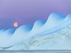 Keren Parah! Karya Jawara Kontes Foto Hewan Bikin Mata Terbelalak