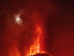 Keren Parah! Karya Jawara Kontes Foto Hewan Bikin Mata Terbelalak