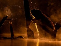 BigPicture Photography Competition