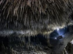 Keren Parah! Karya Jawara Kontes Foto Hewan Bikin Mata Terbelalak