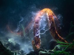 Keren Parah! Karya Jawara Kontes Foto Hewan Bikin Mata Terbelalak