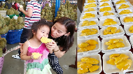 Cukup Bayar Rp 828 Ribu Bisa Makan Durian Premium AYCE Sampai Mabuk