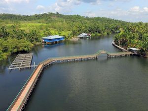 Jempolan! Perkampungan Danau Sentani Dijadikan Percontohan Ekowisata