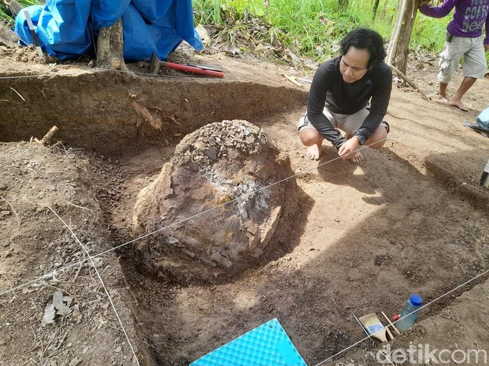 Fosil diduga kura-kura purba.