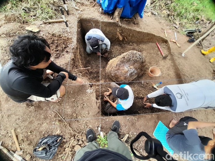 Fosil kura-kura di Sumedang.