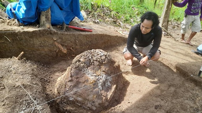 Fosil yang diperkirakan kura-kura purba.