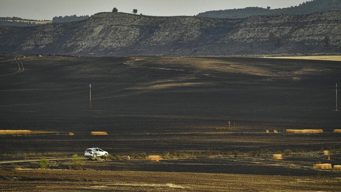 Police officers inspect the scene after forest fires affected the area near to Miranda de Arga, around 40 kilometers (27m miles) from Pamplona, northern Spain, Thursday, June 16, 2022, as  Spain´s weather service says a mass of hot air from North Africa has brought the country’s first major heat wave of the year. (AP Photo/Alvaro Barrientos)