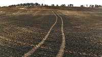 Gelombang panas yang melanda Spanyol sejak awal Juni meningkat. Dilaporkan Badan Meteorologi Spanyol, suhu di berbagai wilayah bisa mencapai 43 derajat celcius.  