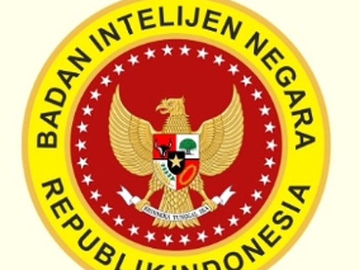 Logo BIN (Foto: Istimewa)