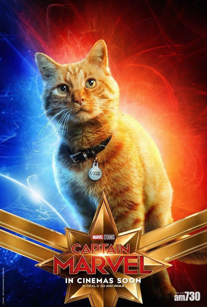 Marvel Cinematic Universe
