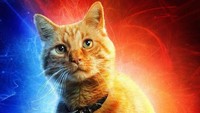 Goose adalah kucing yang juga tampil ikonik di film Captain Marvel. Wujudnya kucing, tapi namanya Goose yang artinya angsa. Tapi Goose adalah alien ras Flerken. Foto: dok Marvel Cinematic Universe