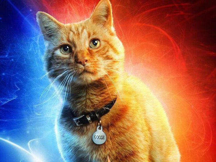 Hewan Ikonik di Marvel Cinematic Universe