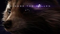 Rocket Raccoon merupakan karakter jagoan di Guardians of the Galaxy. Ia merupakan subjek eksperimen. Foto: dok Marvel Cinematic Universe