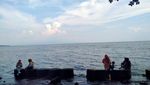 Aneh, Pantai Kok Isinya Kerbau Lagi Berkubang