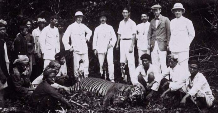 Perburuan Harimau Jawa Bogor-Sukabumi Sekitar Cicurug