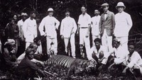 Kesaksian Bupati Sukabumi soal Harimau Jawa yang Konon Belum Punah
