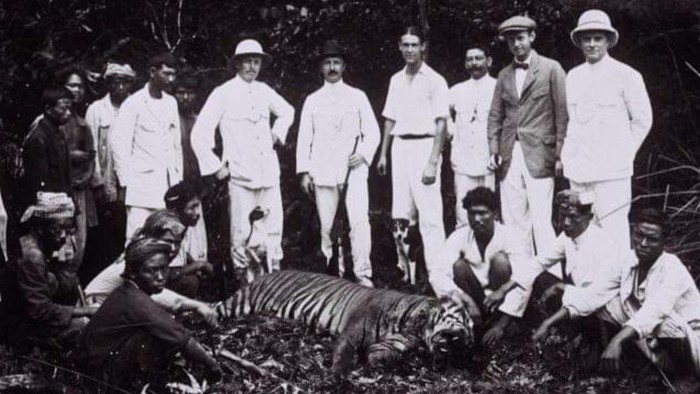 Perburuan Harimau Jawa Bogor-Sukabumi Sekitar Cicurug