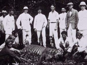 BRIN Pastikan Temuan Jejak Harimau Itu Benar Adanya