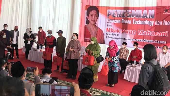 Puan Maharani (Rolando Fransiscus Sihombing/detikcom).