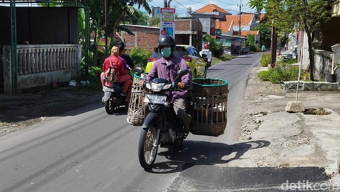 Seorang warga Gresik penjual buah yang terbiasa memakai sandal saat berdagang.