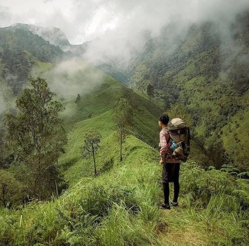 Suasana Gunung Rinjani di jalur pendakian Lantan.
