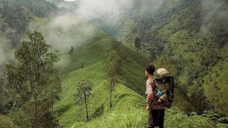 Suasana Gunung Rinjani di jalur pendakian Lantan. Suasana Gunung Rinjani di jalur pendakian Lantan.