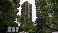 Daun-daun yang menjalar itu semakin memenuhi area balkon yang terbengkalai.