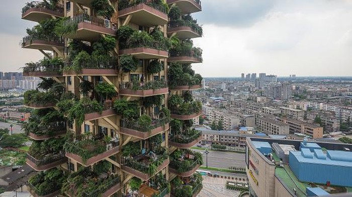 This photo taken on July 12, 2021 shows apartments with balconies covered with plants at a residential community in Chengdu in China's southwestern Sichuan province. - Green spaces have also been shown to improve health and wellbeing, including reducing stress, anxiety and depression, improving attention and focus, better physical health and managing Post Traumatic Stress Disorder. - China OUT / TO GO WITH Environment-climate-cities,FEATURE (Photo by STR / AFP) / China OUT / TO GO WITH Environment-climate-cities,FEATURE (Photo by STR/AFP via Getty Images)