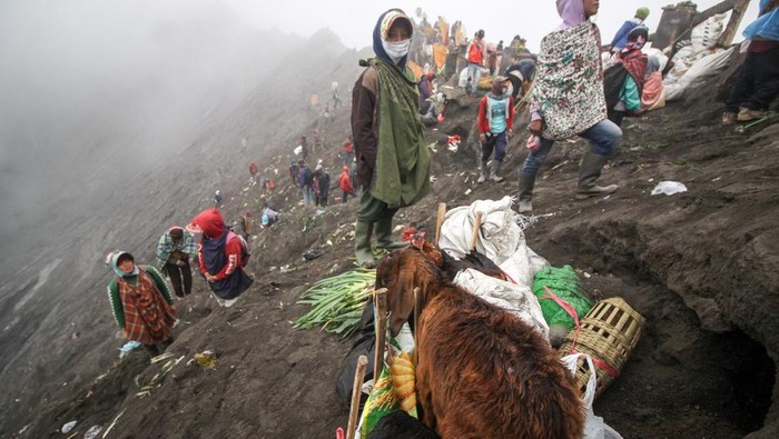 UPACARA YADNYA KASADA Warga berebut sesaji yang dilempar oleh masyarakat Suku Tengger ke kawah Gunung Bromo pada Upacara Yadnya Kasada di Desa Ngadisari, Sukapura, Probolinggo, Jawa Timur, Kamis (16/6/2022). Upacara Kasada merupakan upacara adat masyarakat Suku Tengger sebagai bentuk ucapan syukur kepada Sang Hyang Widi sekaligus meminta berkah dan menjauhkan dari malapetaka. ANTARA FOTO/Umarul Faruq/wsj.