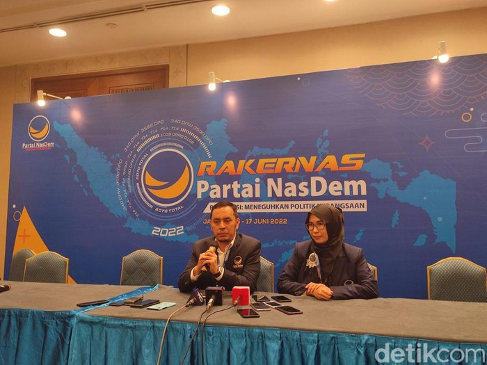 Willy Aditya NasDem (Rakha Arlyanto Darmawan/detikcom).