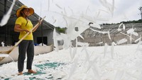 Seorang pekerja membuat bulu-bulu tersebut beterbangan.