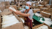 Seorang pekerja mengeluarkan bulu-bulu unggas di sebuah pabrik Chengdu Chengyu Sports Goods, Sichuan, China.