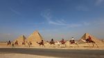 Menakjubkan! Sensasi Keliling Piramida Giza Naik Unta