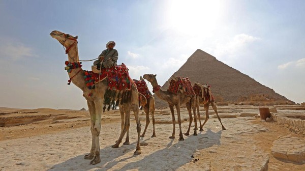 Seorang warga Mesir dengan untanya sedang berburu sejumlah wisatawan untuk naik unta.
