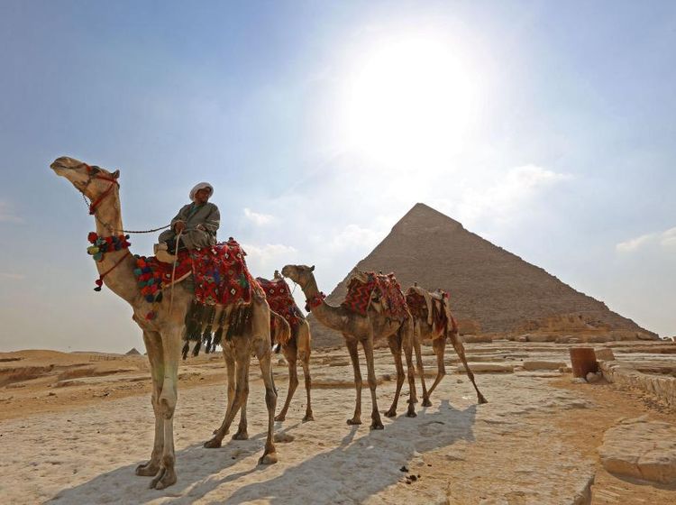 Menakjubkan! Sensasi Keliling Piramida Giza Naik Unta
