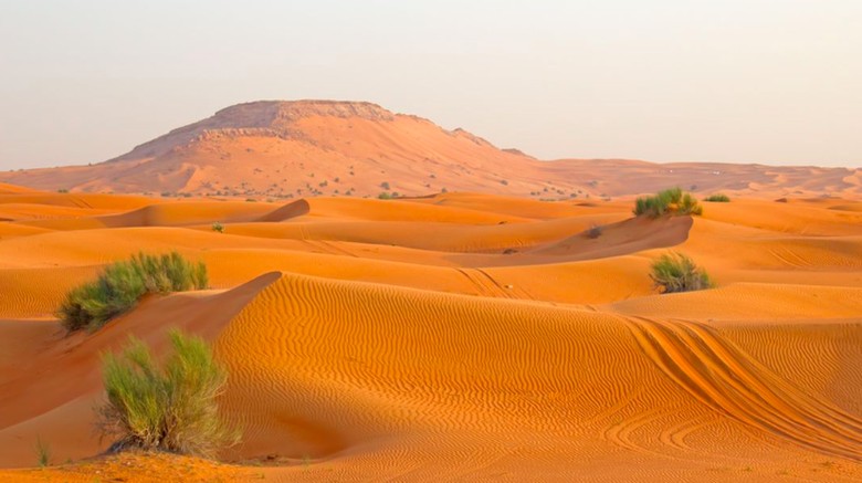 Gurun Arab Gurun Arab