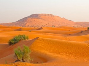 Studi Ungkap Tanah Arab Hijau dan Subur di Masa Lalu
