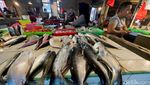 Ramainya Lapak Penjual Ikan Gegara Harga Ayam dan Daging Naik Tinggi