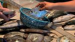 Ramainya Lapak Penjual Ikan Gegara Harga Ayam dan Daging Naik Tinggi