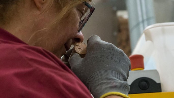 GIRONA, CATALONIA, SPAIN - JUNE 16: Bottle corks during the manufacturing process at De Maria Taps S.L., Joan Enric de Maria, explains the manufacturing process in Cassa de la Selva, on 16 June, 2022 in Girona, Catalonia, Spain. De Maria Taps is a company specialized in the manufacture and design of high quality cork stoppers for wines. It belongs to the Association of Cork Entrepreneurs of Catalonia (AECORK), an organization that brings together manufacturers of cork products that export to major world markets. The cork sector in Spain produces approximately 30% of the world's cork extracted from cork oak trees. De Maria Taps S.L. has been beneficiary in 2021 of the European Regional Development Fund, which aims to improve the competitiveness of SMEs. (Photo By Gloria Sanchez/Europa Press via Getty Images)