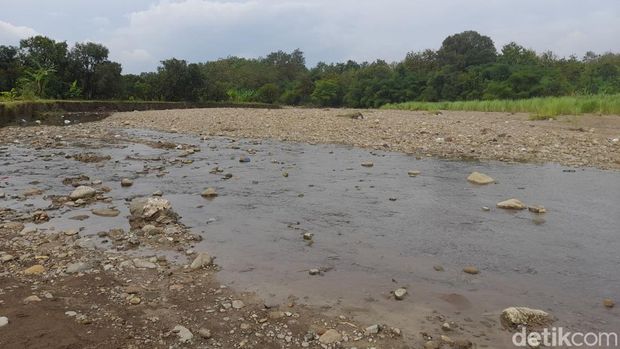 Penemuan fosil di Sumedang.