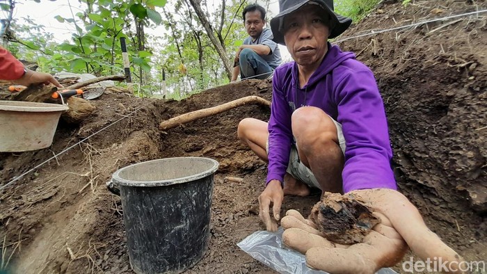 Penemuan fosil di Sumedang.