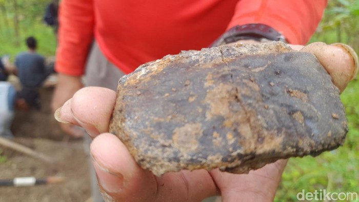 Penemuan fosil di Sumedang.