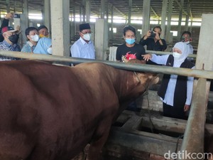 Gubernur Khofifah Pastikan Hewan Kurban di Sidoarjo Mudah Diakses dan Aman
