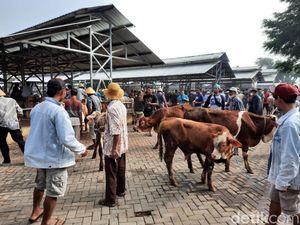 Dampak PMK, Harga Sapi di Pasar Siyono Gunungkidul Anjlok Rp 6 Juta/Ekor