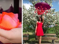 Cara Mudah Bikin Foto Ciamik Tanpa Bantuan Photoshop & Keluar Uang